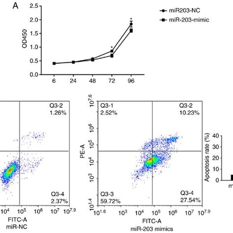 MiR 203a 3p Binds To The 3 UTR Of THBS2 A Base Pairing Of THBS2 And