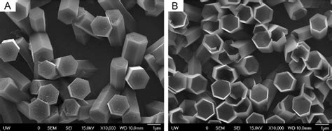 Sem Images Of A As Grown Zno Rods And B Etched Zno Nanotubes Grown