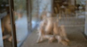 LOSE MY SELF NUDE SCENES AZNude