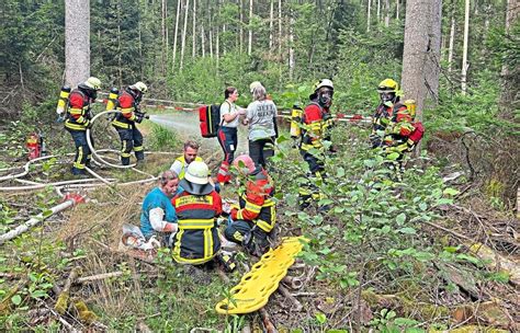 Wenn Der Wald Brennt Feuerwehren Ben Den Ernstfall