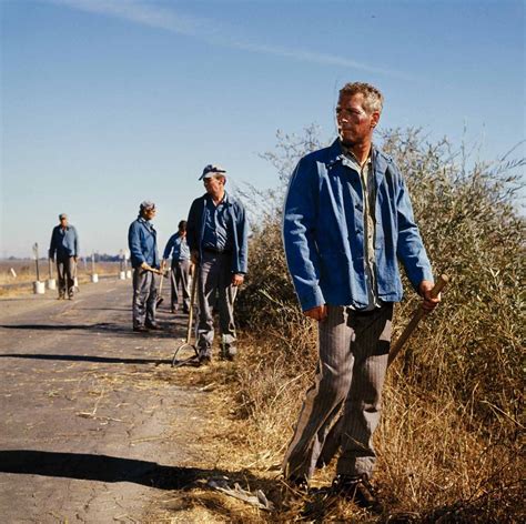 Cool Hand Luke 1967