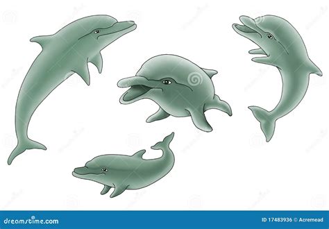 Group Of Dolphins Illustration Royalty Free Stock Image Image