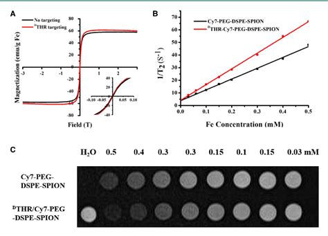 Figure From A Transferrin Receptor Targeting Dual Modal Mr Nir