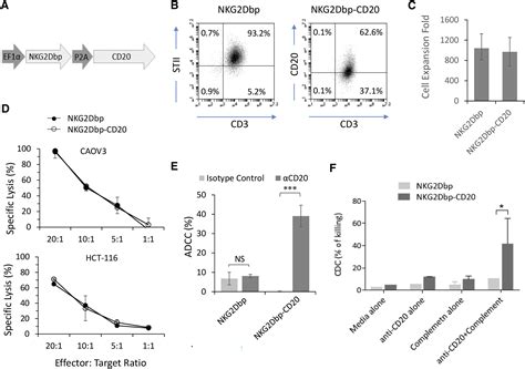 Manufacturing Nkg2d Car T Cells With Piggybac Transposon Vectors And