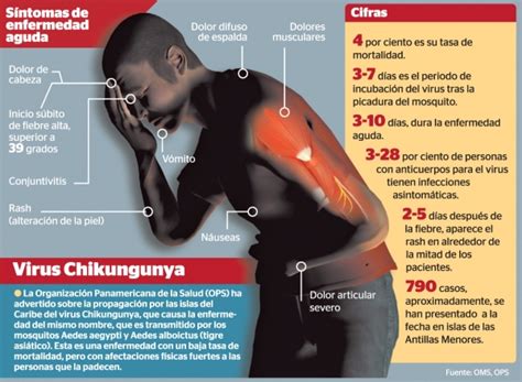 Todo Sobre El Chikungunya Y C Mo Recuperarse