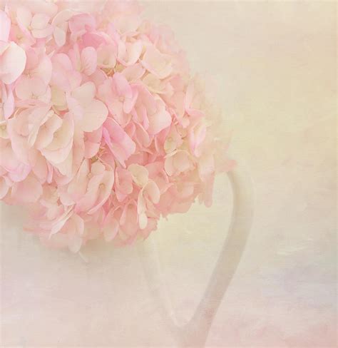 Pink Hydrangea Flowers In White Vase Photograph By Kim Hojnacki Pixels