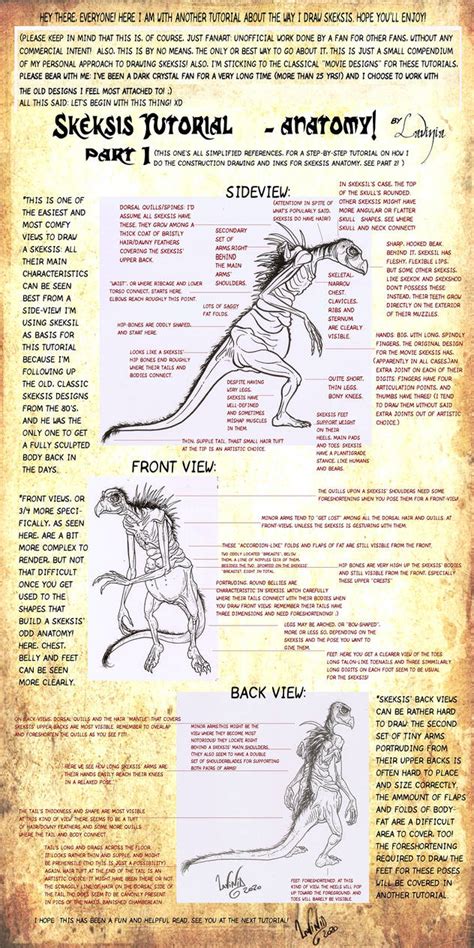 Skeksis Tutorial Anatomy Part 1 By Skekla On Deviantart