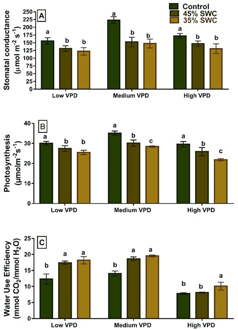 Gas exchange parameters A stomatal conductance µmol m 2 s 1 B