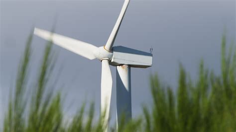 Wind turbine surrounded by green plants of nature 36497440 Stock Video at Vecteezy