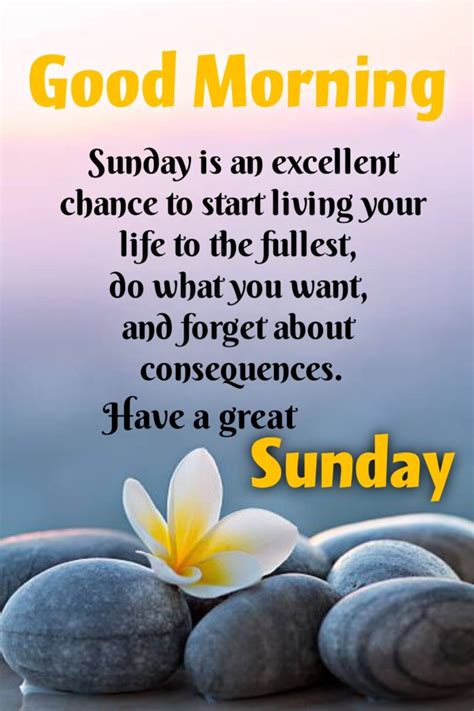 Sunday Quotes Sunday Morning Quotes Wishes1234 Sunday Morning