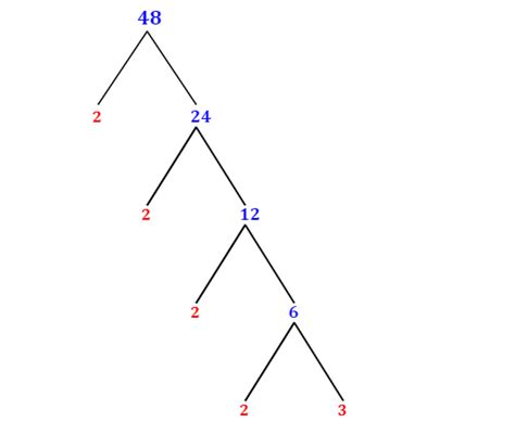 Prime Factorization of 48 with a Factor Tree - MathOnDemand.com