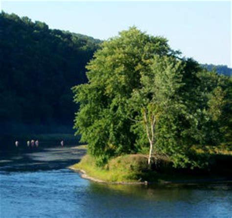 Allegheny Islands Wilderness | Pennsylvania National Wilderness Areas