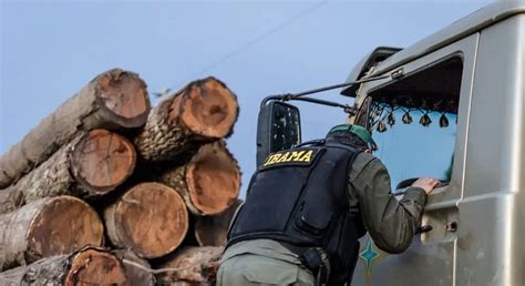 Servidores Do Ibama Anunciam Paralisação E Cobram Melhores Condições Condsef