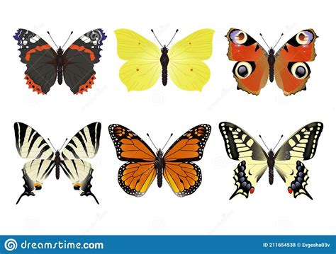 Conjunto De Mariposas Colección De Mariposas Ilustración Del Vector