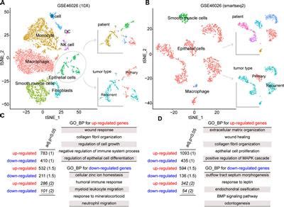 Frontiers Identification Of A Recurrence Gene Signature For Ovarian