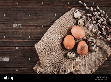 Easter Background With Natural Color Eggs Pussy Willow Branches And Brown Feathers On Beige