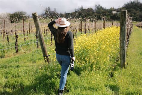 8 Fantastic Sonoma Winery Tours