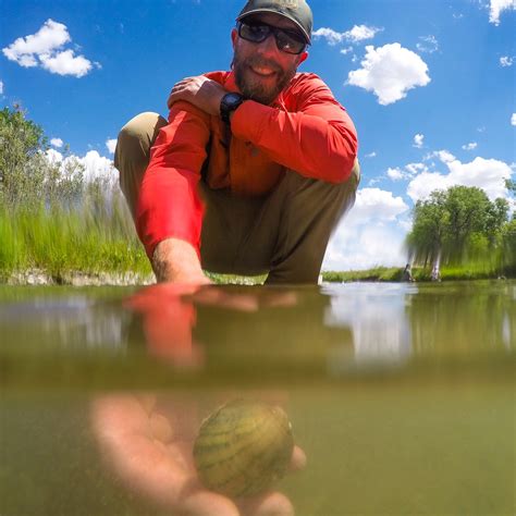Wyoming Game and Fish Department - Plain pocketbook mussels (shown here
