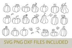 Pumpkin Outline Svg Png Dxf Bundle