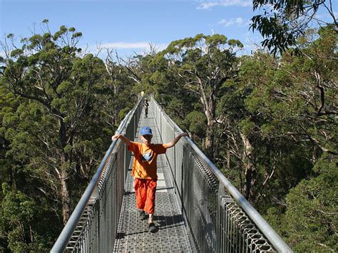 Walpole, WA - Aussie Towns