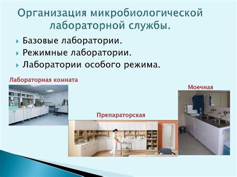 План схема микробиологической лаборатории