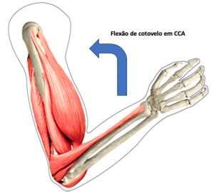 Cadeias Cin Ticas Felipe Barros