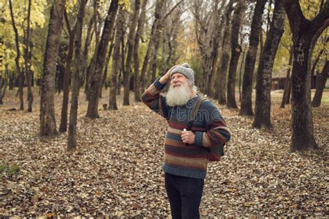 Old Man With Beard In Forest Stock Image Image Of Look Retired