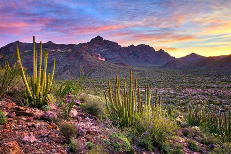 Sonoran Desert National Monument