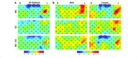 The Group Level Activation T Maps For All The Participants A And