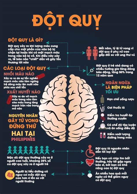 Đột quỵ là gì, những điều bạn cần biết infographic