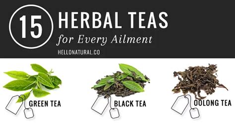 15 Kinds Of Herbal Teas And Their Benefits