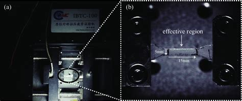 Sketch Of The Uni Axial Tensile Test A The Experimental System B