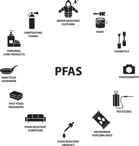 Pfas European Policy Perspectives The Conservative