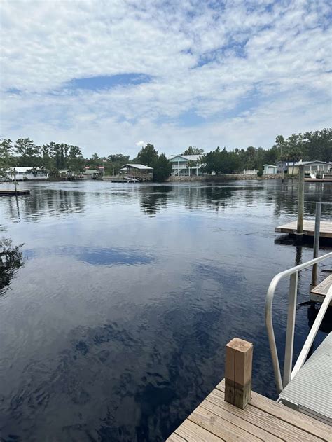 Dockside Campground Hipcamp In Steinhatchee Florida