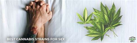 Cannabis The Best Strains For Sex 2021 Ie 420 Meds