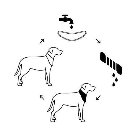 Dog Cooling Bandana - pawsitivepetessentials