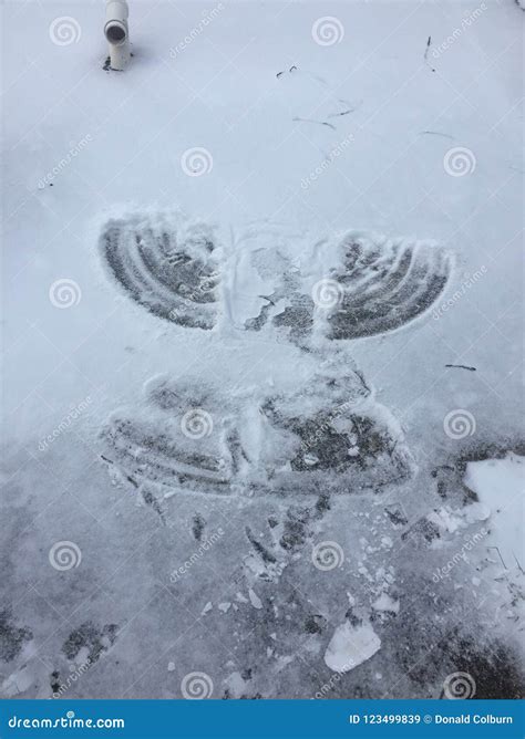 Snow Angel stock image. Image of perfect, wings, snow - 123499839