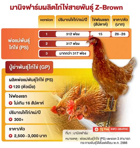 “มานิจฟาร์ม” เจ๋งผลิต ขาย พ่อแม่พันธุ์ไก่ไข่เจ้าแรก ช่วยลดนำเข้า