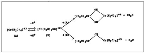 Hydrolysis And Olation Reactions Of Criii Hexaaqua Species In Download Scientific Diagram