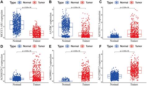 Identification Of M7g Associated Lncrna Prognostic Signature For