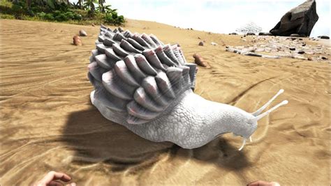 Achatina Official Ark Survival Evolved Wiki