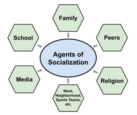 socialization meaning stages  agents  theories