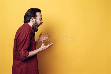 Portrait of Screaming Frustrated Angry Man Stock Photo - Image of facial, head: 120684168