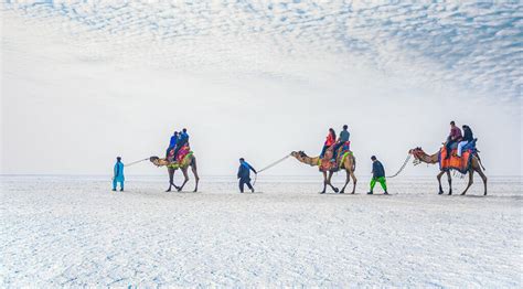 Rann Utsav Booking online | Tent Booking at Rann Utsav - Jas Tours ...