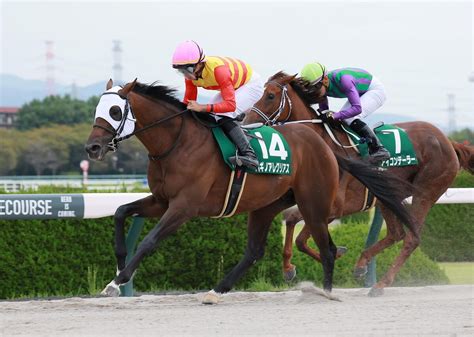 【シリウスs】1番人気ハギノアレグリアスが快勝 岩田望「もっと上を目指してほしい」 ライブドアニュース