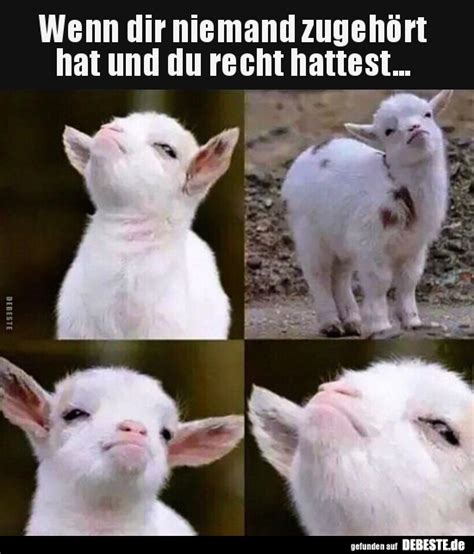 Wenn Dir Niemand Zugeh Rt Hat Und Du Recht Hattest Lustige Bilder