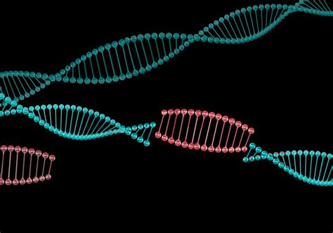 Jumping Genes Can Cause Movement Disorder: Study | The Scientist Magazine®