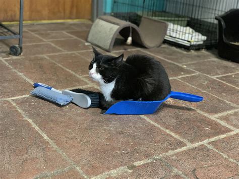 Why was I surprised? | Scrolller