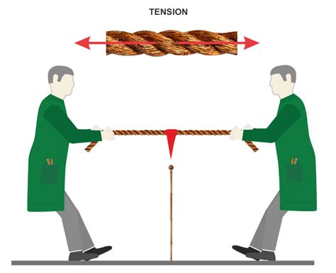 Different Types Of Forces