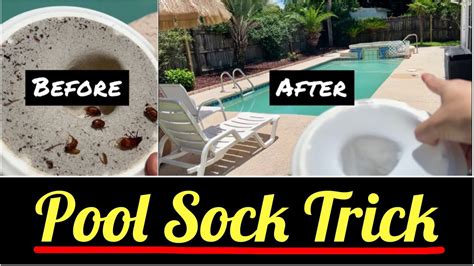 Best Pool Skimmer Sock Trick To Save Big Every Season YouTube